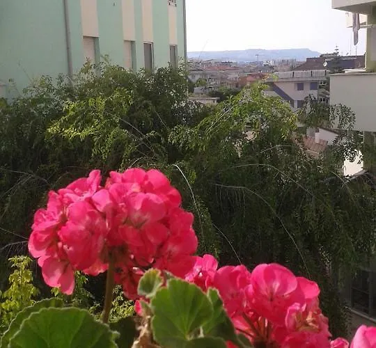 Le Petit Bijou Montesilvano Marina